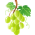 Fruit and Produce